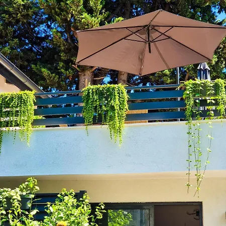 ǁ Corino * 比奥格勒·纳·莫鲁