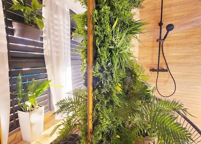 ǁ Corino ביוגראד נה מורו